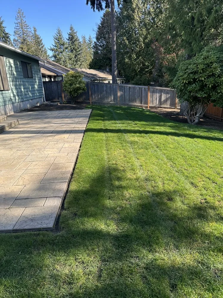 Expert yard cleanup service for outdoor upgrades across Everett, WA - Victors Landscaping