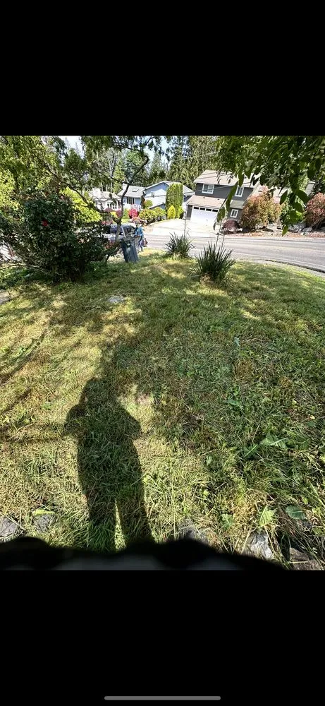 Expert landscape installation experts serving Everett, WA - Victors Landscaping