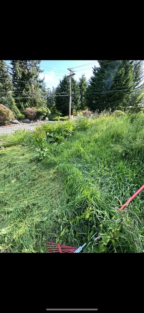 Reliable lawn mowing service in Everett, WA by Victors Landscaping