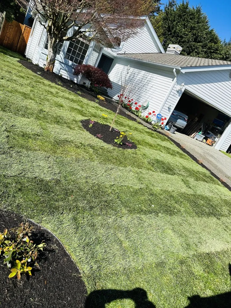 Reliable yard cleanup service in Everett, WA by Victors Landscaping
