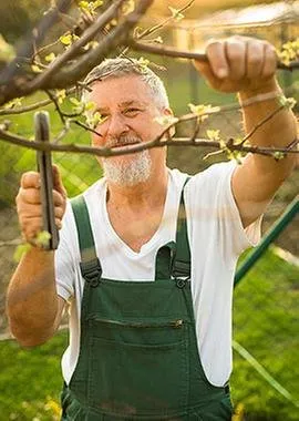 Custom garden landscaping in Norridge, IL by Victor's Landscaping