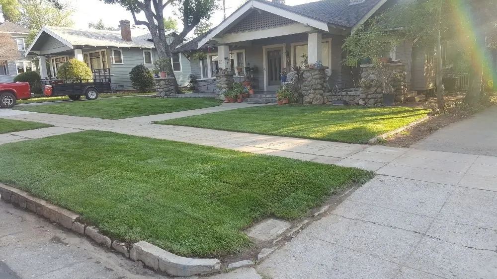 Custom yard cleanup service in Oak Glen, CA - Victor's Landscaping