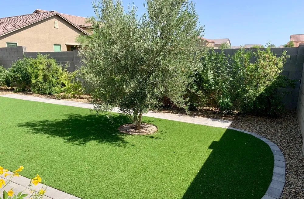Expert yard maintenance experts serving Peoria, AZ - Victor's Landscaping