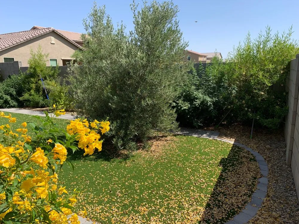 Expert garden landscaping experts serving Peoria, AZ - Victor's Landscaping