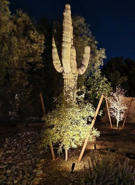 Top-rated garden landscaping near you across Peoria, AZ - Victor's Landscaping