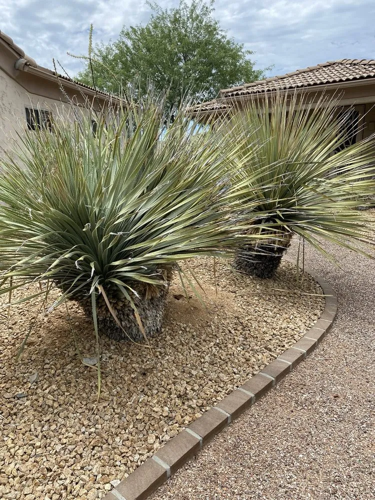 Expert outdoor landscaping in Peoria, AZ - Victor's Landscaping