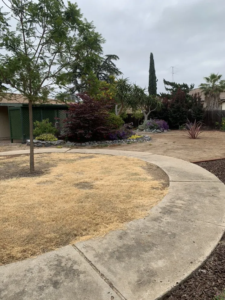 Top-rated outdoor landscaping in El Cajon, CA - Victor’s Lawn Care & Lanscaping