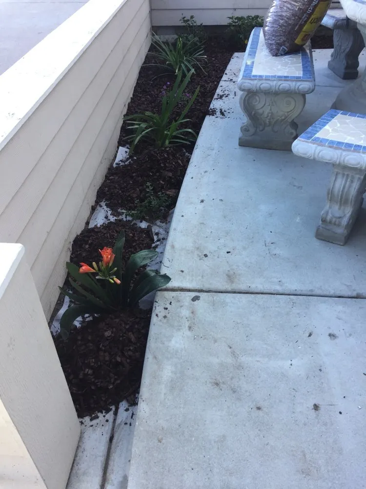 Professional landscape installation in El Cajon, CA - Victor’s Lawn Care & Lanscaping