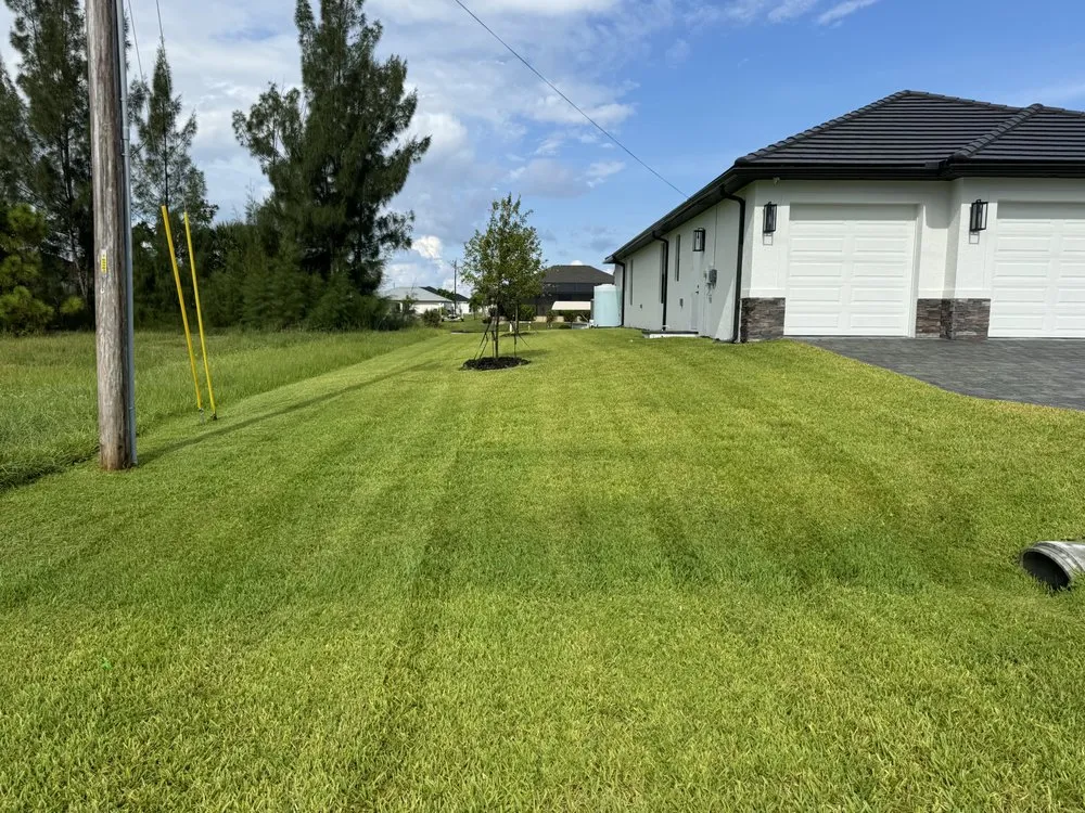 Local yard cleanup service experts serving Cape Coral, FL - Victor’s Lawn Care
