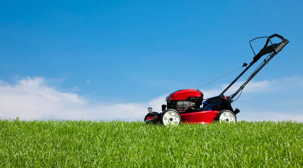 Local landscape design in Corpus Christi, TX by Victor's Lawn Care Service