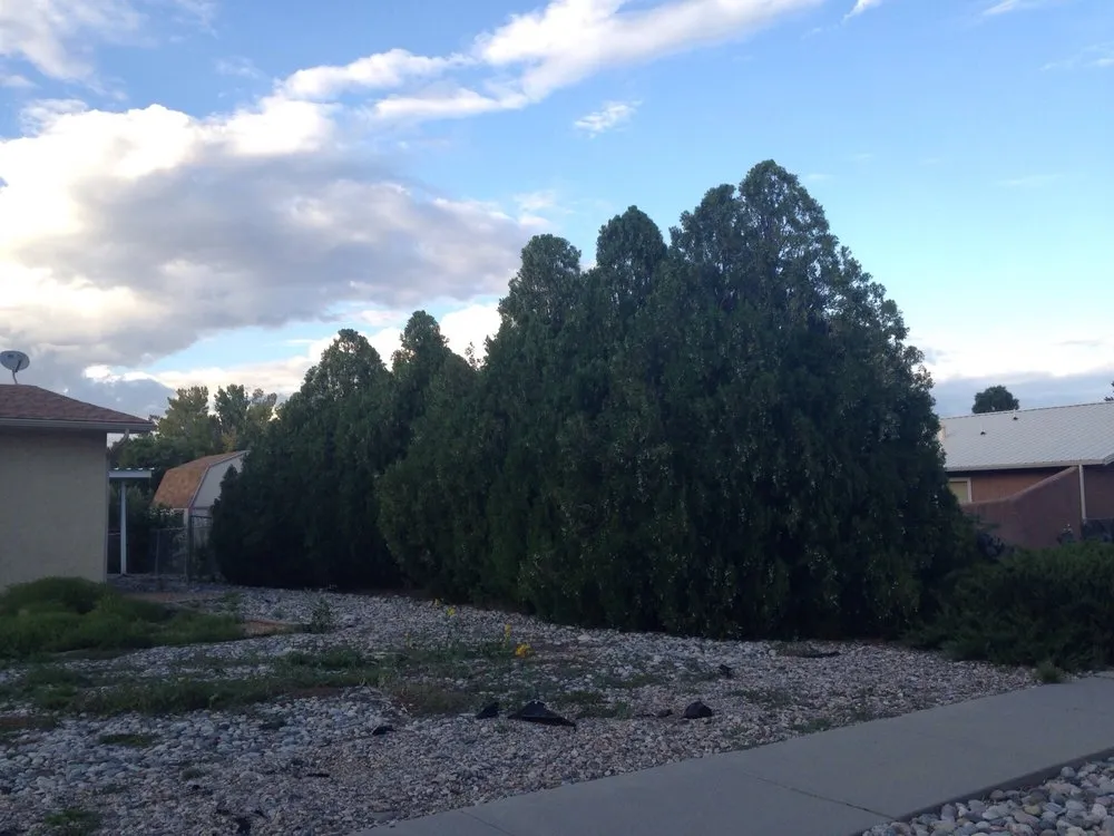 Professional outdoor landscaping near you across Los Alamos, NM - Victors Lawns