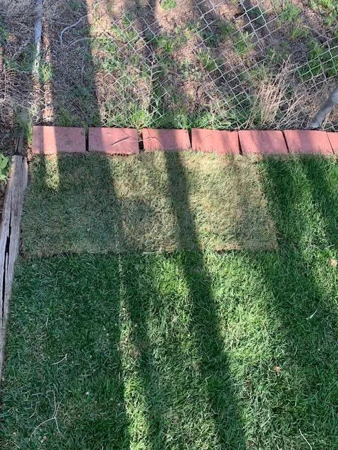 Trusted landscape design for residential properties in Los Alamos, NM by Victors Lawns