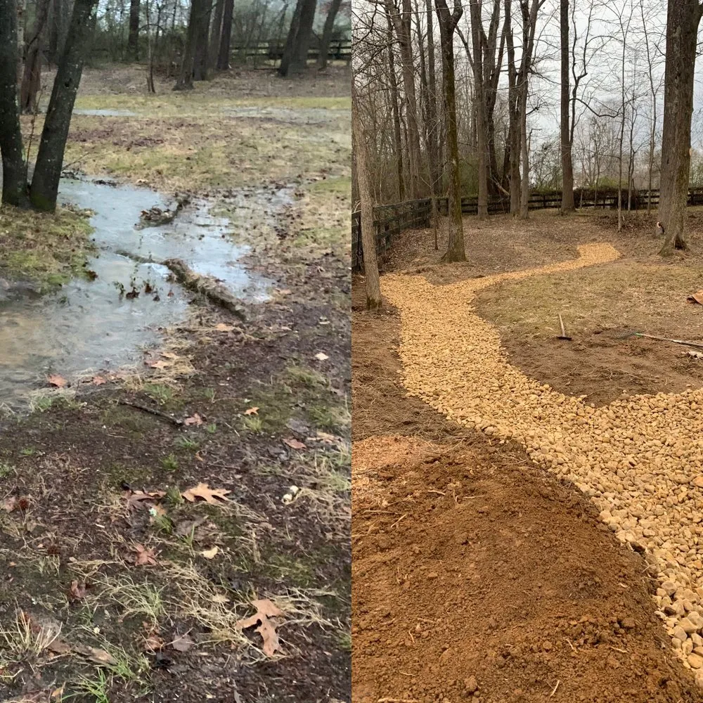 Trusted yard cleanup service experts serving Memphis, TN - Victor’s Lawnscape