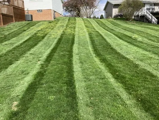 Victor’s Mowing And More