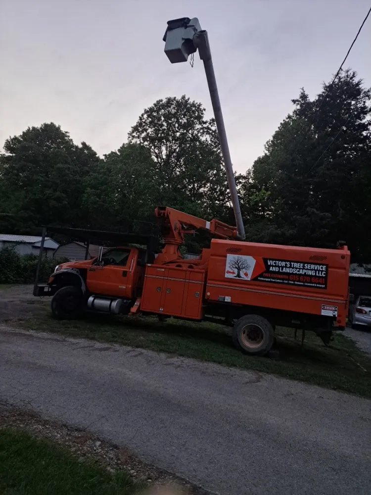 Professional landscape design in Westmoreland, TN by Victor's Tree Service and Landscaping