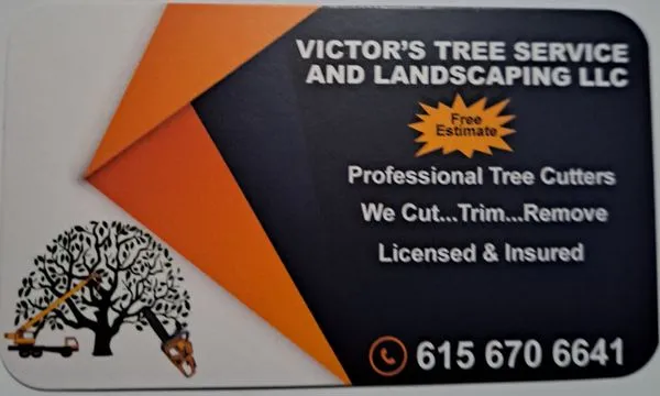 Victor's Tree Service and Landscaping