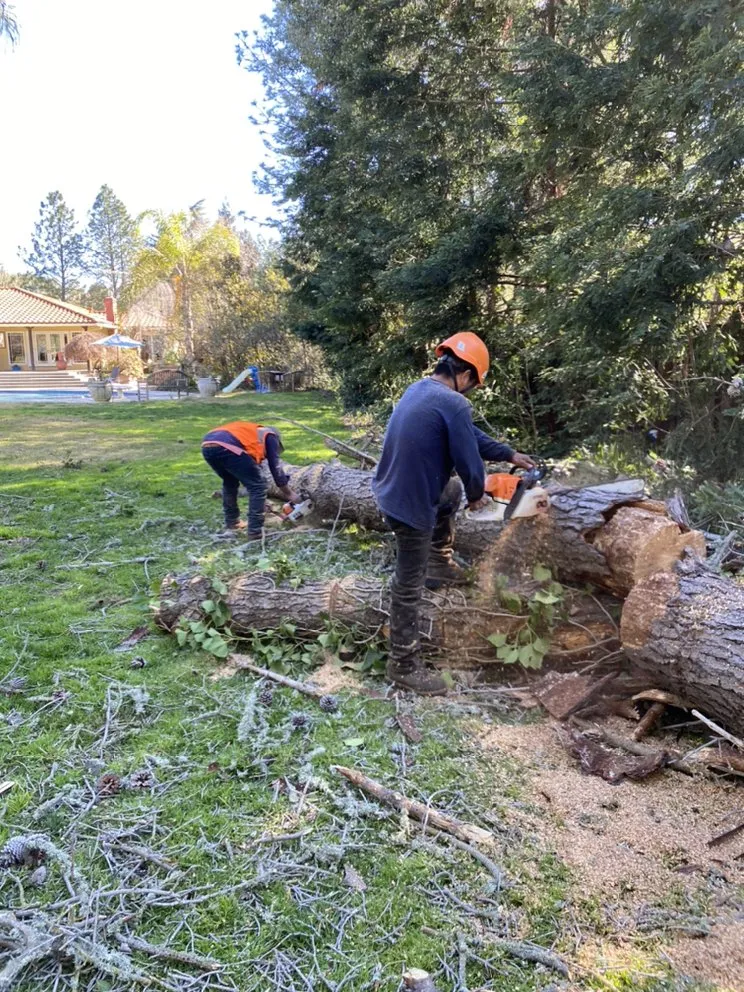 Professional lawn care service with custom design in East Palo Alto, CA by Victor’s Tree Service