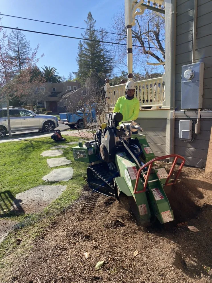 Reliable lawn mowing service for residential properties across East Palo Alto, CA - Victor’s Tree Service