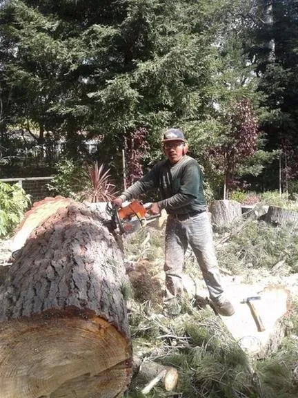 Expert landscape design in East Palo Alto, CA - Victor’s Tree Service