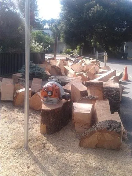 Local lawn care service with custom design in East Palo Alto, CA by Victor’s Tree Service