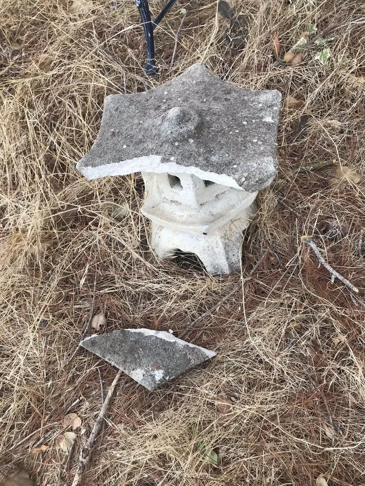 Reliable lawn care service with custom design in East Palo Alto, CA by Victor’s Tree Service