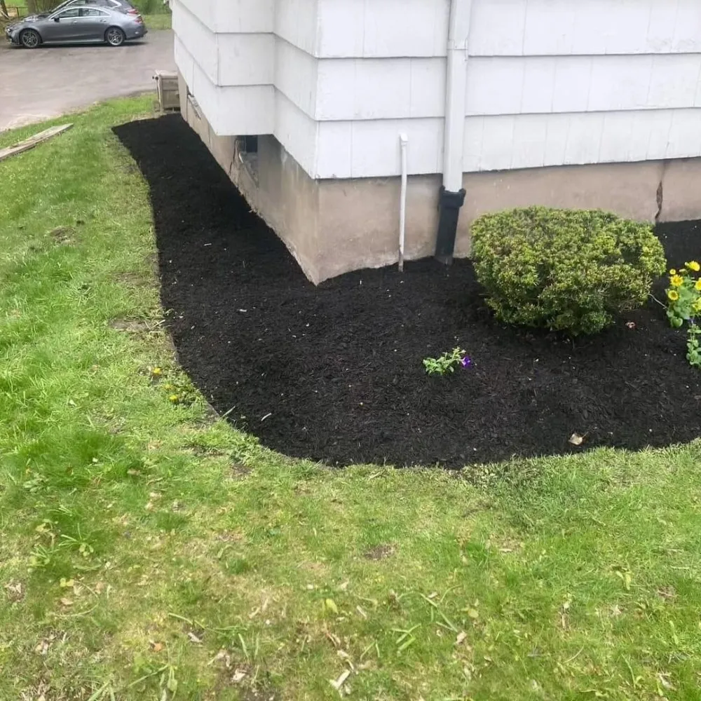 Affordable yard cleanup service in Speedway, IN by Victors Tree Services & Landscaping