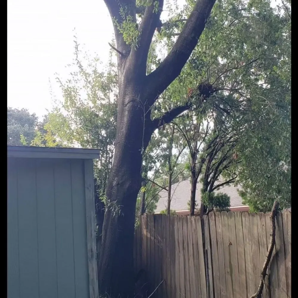 Custom residential landscaping with custom design across Speedway, IN - Victors Tree Services & Landscaping