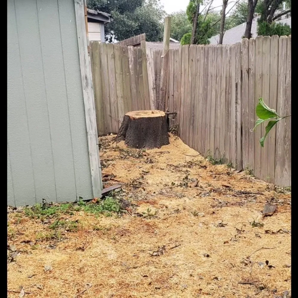 Expert landscape design with custom design across Speedway, IN - Victors Tree Services & Landscaping