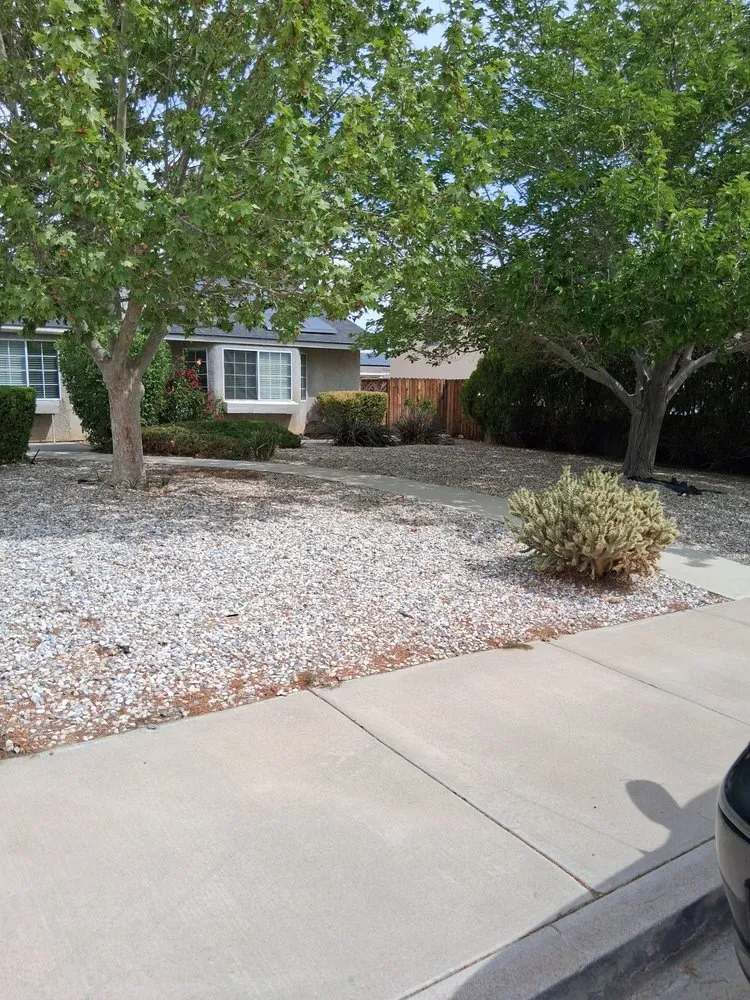 Trusted yard cleanup service experts serving Hesperia, CA - Victor's Yard Clean Ups Services