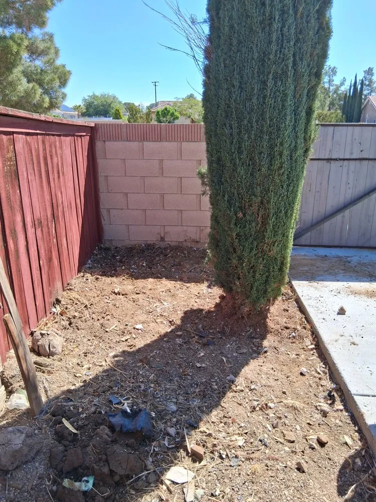 Professional yard cleanup service for homes across Hesperia, CA - Victor's Yard Clean Ups Services