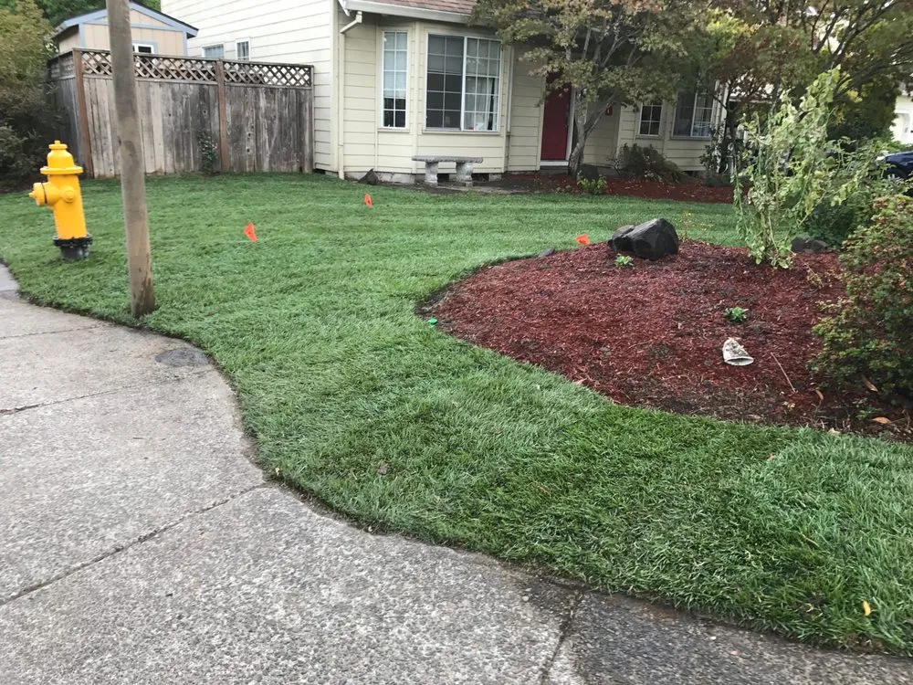 Local landscaping services experts serving Beaverton, OR - Victor's Yard Maintenance