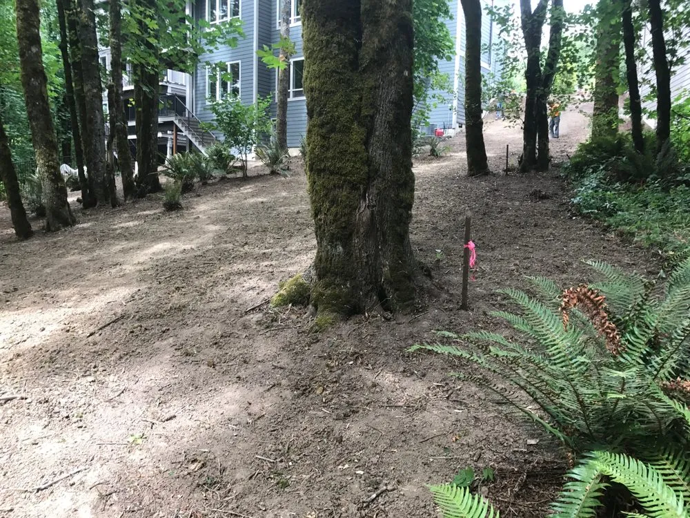 Custom residential landscaping for year-round maintenance across Beaverton, OR - Victor's Yard Maintenance