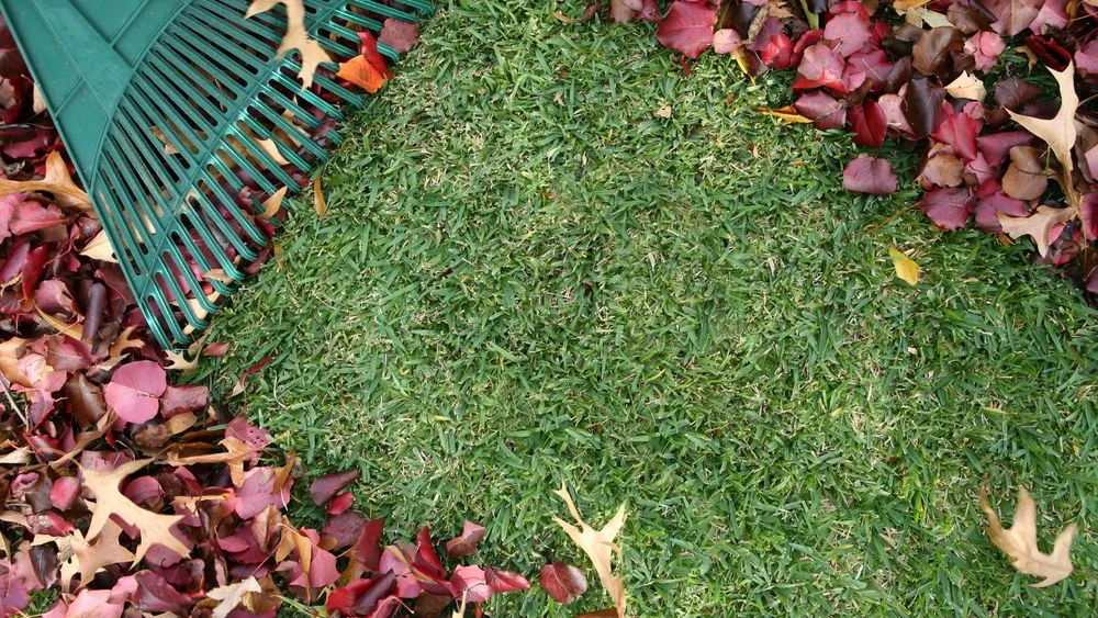 Expert garden landscaping in Victorville, CA by Victorville Luscious Landscape