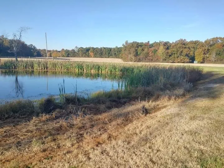 Top-rated lawn mowing service in Woodbury, TN - Victory Dirt Works