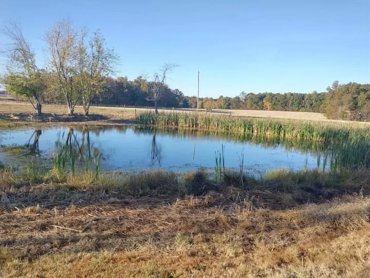 Local residential landscaping in Woodbury, TN by Victory Dirt Works