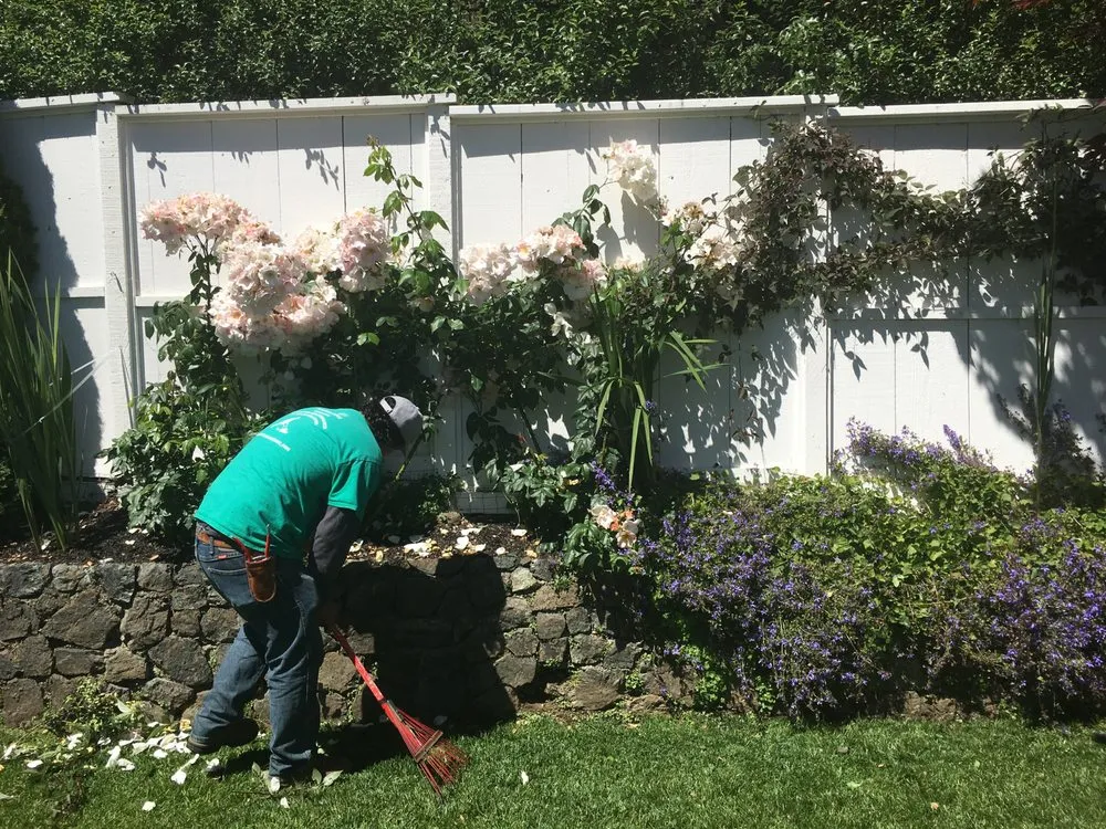 Custom yard maintenance for beautiful yards in San Rafael, CA by Victory Gardens Landscaping