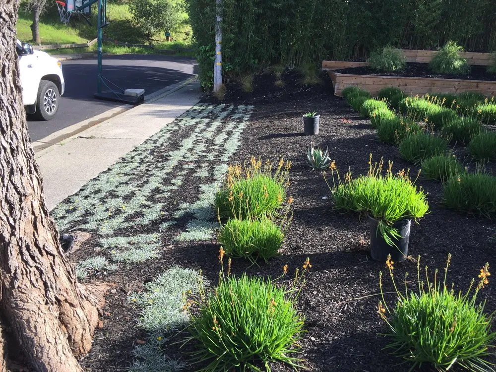 Trusted lawn mowing service for homes in San Rafael, CA by Victory Gardens Landscaping