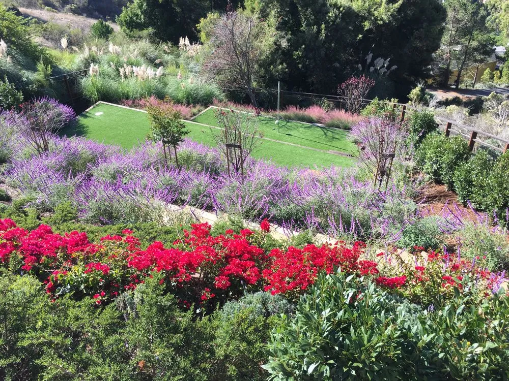 Reliable outdoor landscaping in San Rafael, CA - Victory Gardens Landscaping
