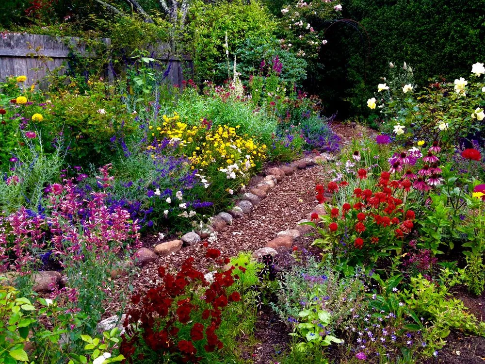 Trusted yard maintenance for outdoor upgrades across San Rafael, CA - Victory Gardens Landscaping