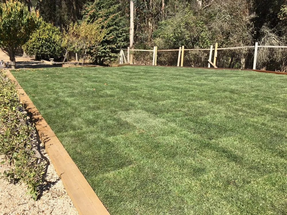 Trusted landscape installation near you in San Rafael, CA by Victory Gardens Landscaping