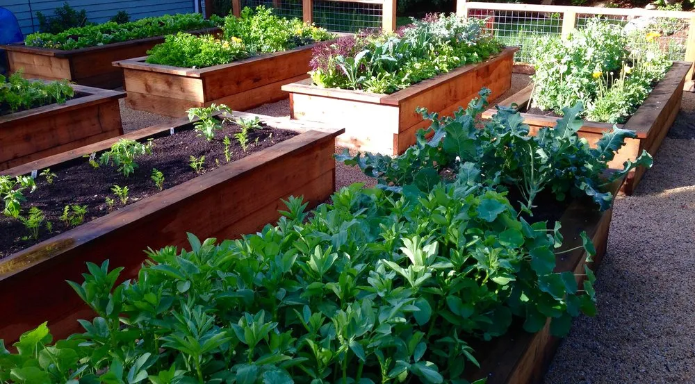 Reliable outdoor landscaping with custom design across San Rafael, CA - Victory Gardens Landscaping