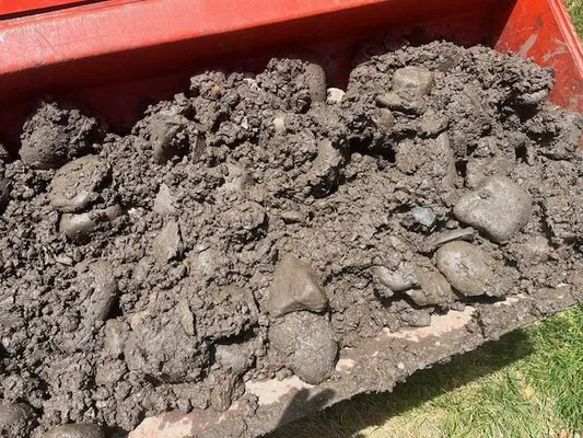 Victory Gardens Logo