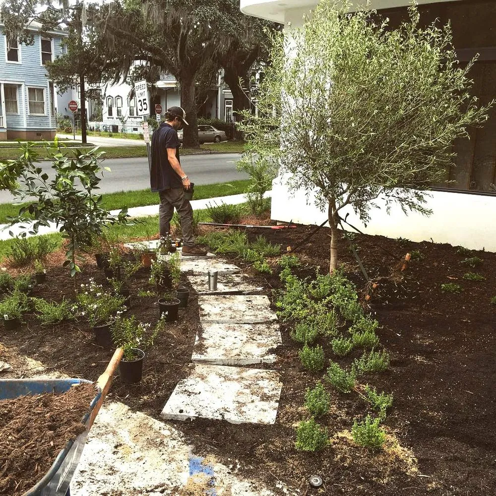 Expert landscaping services near you in Savannah, GA by Victory Gardens