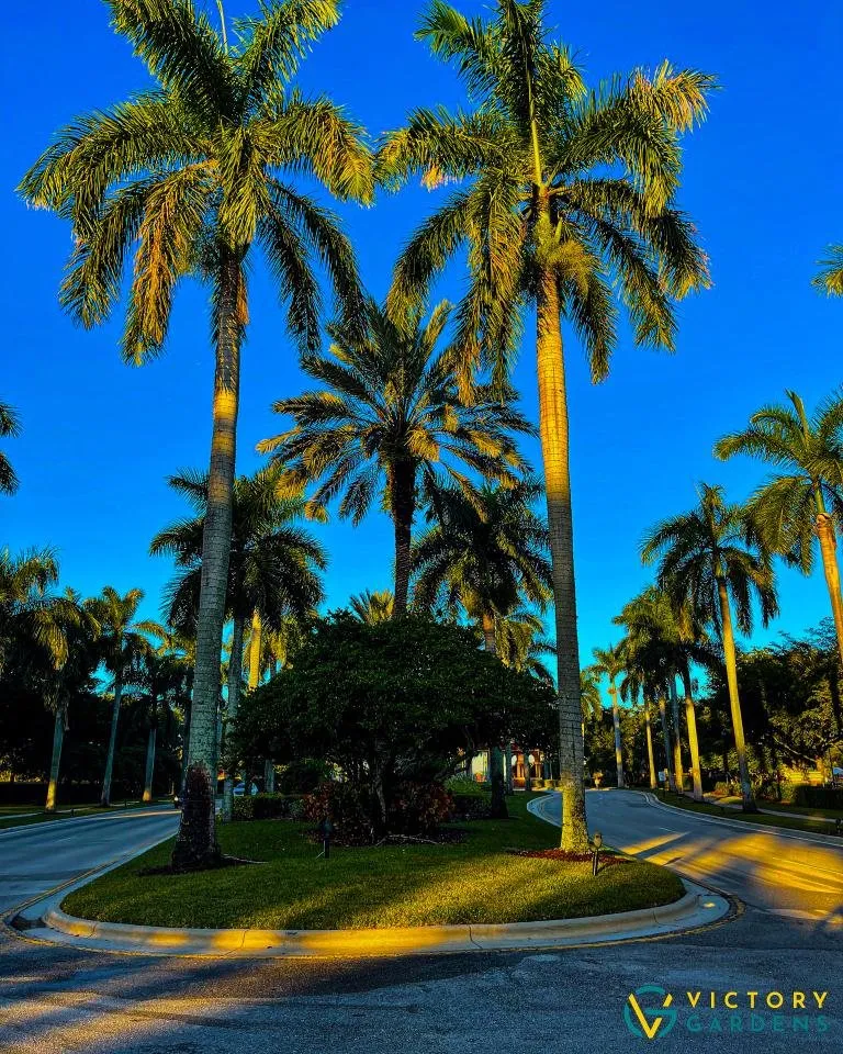 Professional yard cleanup service for residential properties in West Palm Beach, FL by Victory Gardens