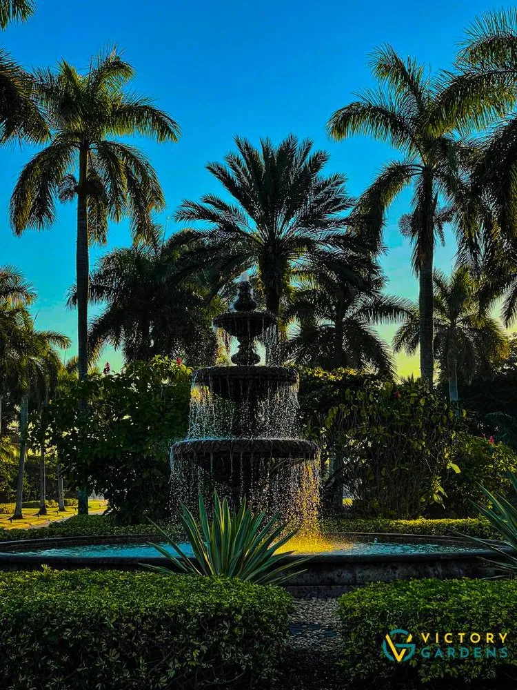 Affordable landscape design for residential properties across West Palm Beach, FL - Victory Gardens