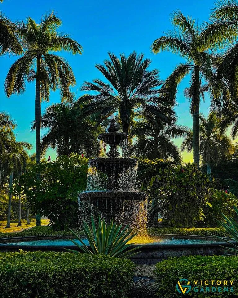 Local lawn care service for residential properties in West Palm Beach, FL by Victory Gardens