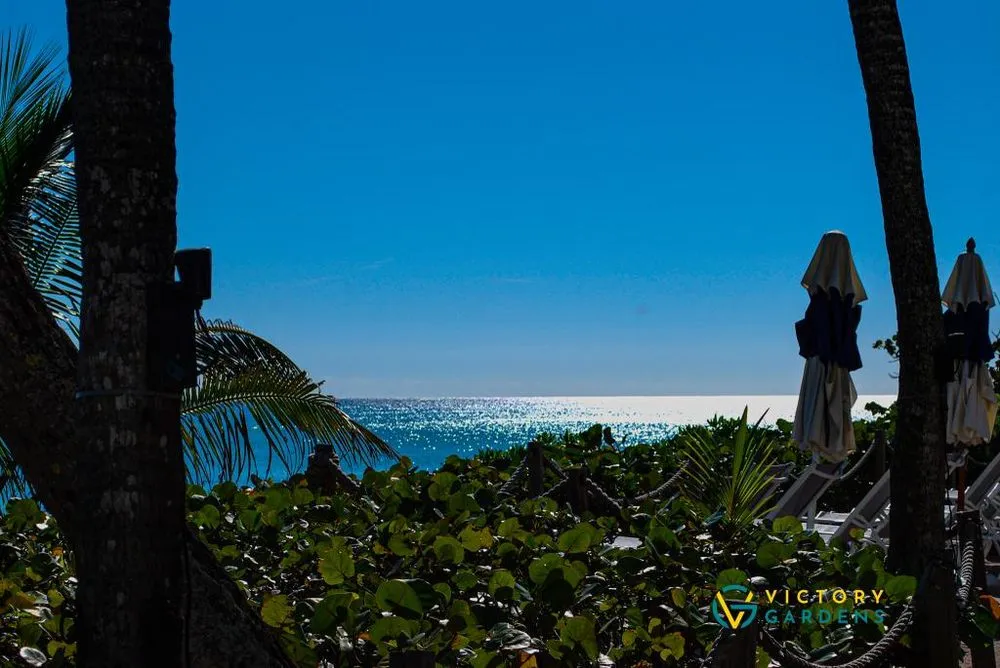 Affordable lawn care service in West Palm Beach, FL by Victory Gardens