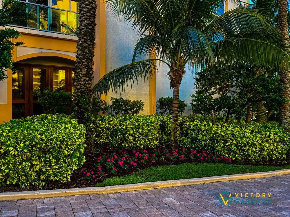 Custom yard cleanup service experts serving West Palm Beach, FL - Victory Gardens