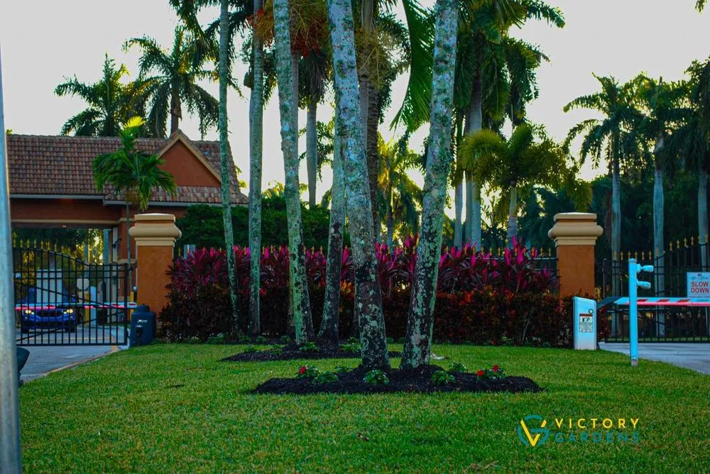 Reliable garden landscaping for year-round maintenance in West Palm Beach, FL by Victory Gardens