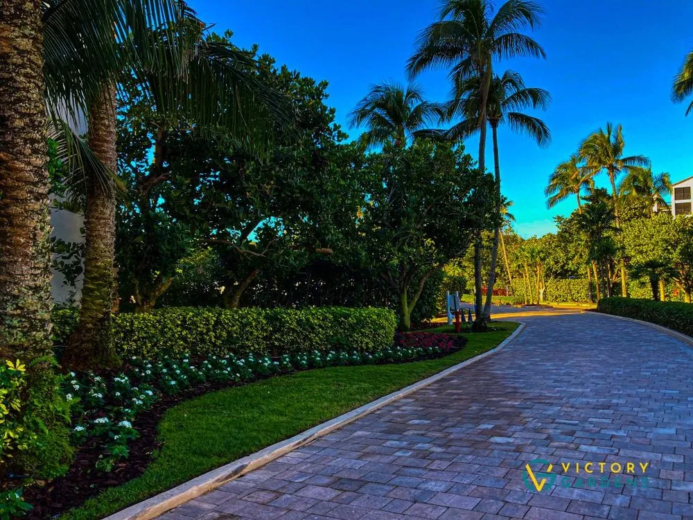 Trusted landscape design in West Palm Beach, FL - Victory Gardens